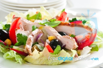 Chicken Salad Stock Photo