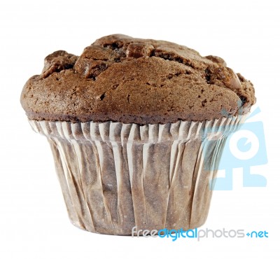 Chocolate Muffin Stock Photo