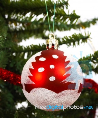 Christmas Ball Hanging On Tree Stock Photo