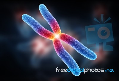 Chromosome Stock Image