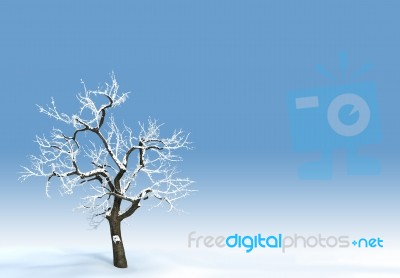 Clean Blue Sky Winter Background Stock Image