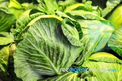 Close-up Of Fresh Cabbage In The Vegetable Garden Stock Photo