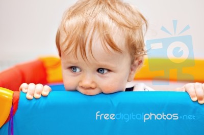 Closeup Of One Year Baby Boy Stock Photo