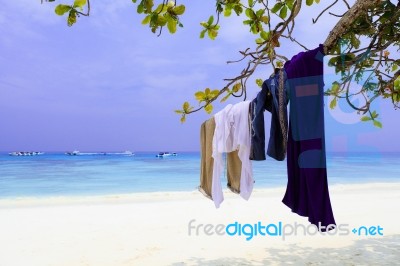 Clothes Of Tourism On Tree Branch Stock Photo