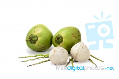 Coconut Shells Stock Photo