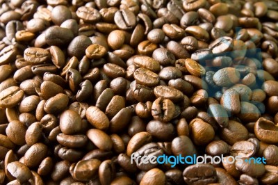 Coffee Bean Stock Photo