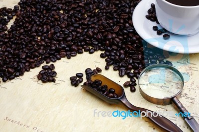 Coffee Beans  Stock Photo