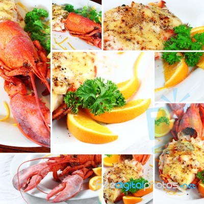 Collage Lobster Thermidor Salad Stock Photo
