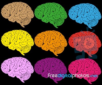 Colorful Brain Stock Image