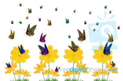 Colorful Butterflies Stock Image