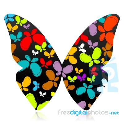 Colorful Butterfly Stock Image
