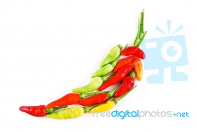 Colorful Chili Stock Photo