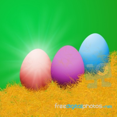 Colorful Easter Eggs Sitting On Grass Field Stock Image