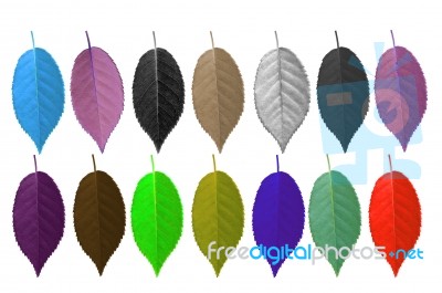 Colorful Leaves Stock Image
