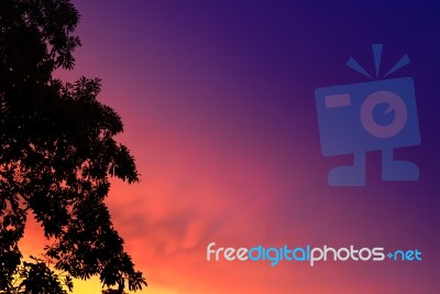 Colorful Of Evening Sky Stock Photo