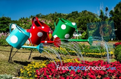Colorful Of Watering Can Stock Photo