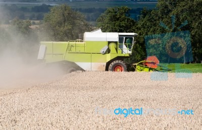 Combine Harvesting Corn Stock Photo