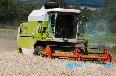 Combine Harvesting Corn Stock Photo