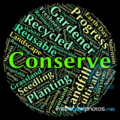 Conserve Word Indicates Sustain Protecting And Conservation Stock Image