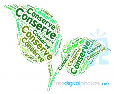 Conserve Word Means Protecting Protect And Sustainable Stock Image