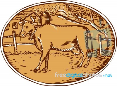 Cow Ranch Farm House Oval Woodcut Stock Image