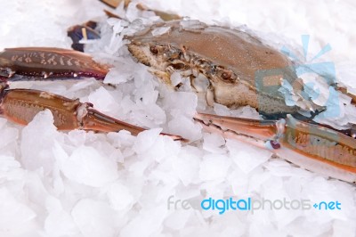 Crab Freeze In Ice Stock Photo