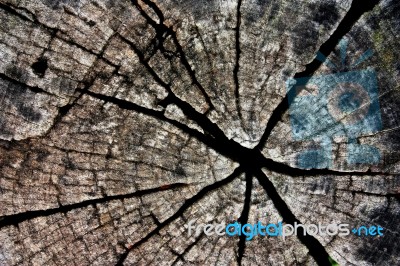 Cracked Of Wood Stock Photo