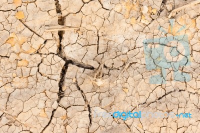 Cracked Soil Stock Photo