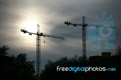 Cranes At Sunset Stock Photo