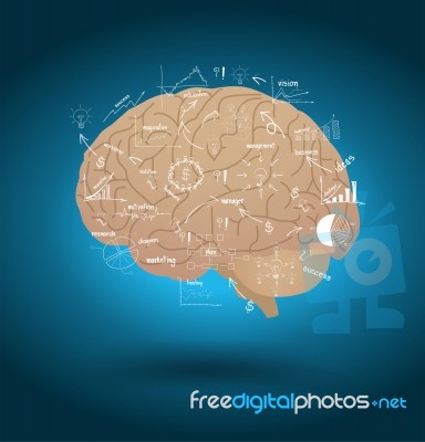 Creative Brain With Drawing Business Strategy Plan Stock Image
