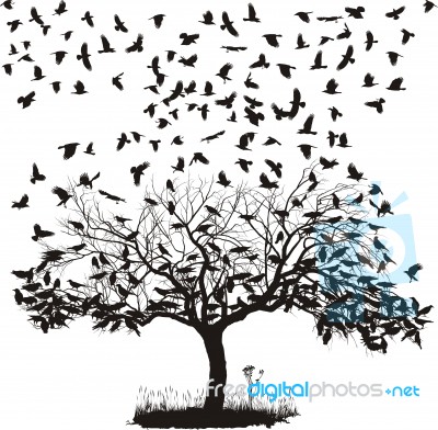 Crows On Tree Stock Image