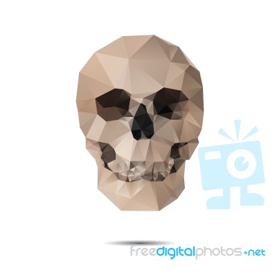 Crystal Skull Stock Image