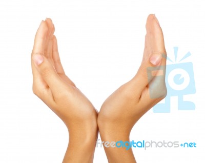 Cupped Hands  Stock Photo