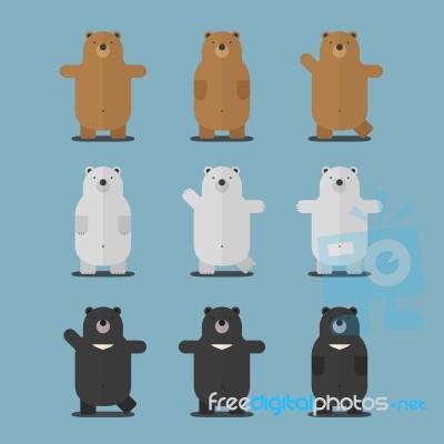 Cute Big Brown Polar Asian Black Bear Flat Design Stock Image