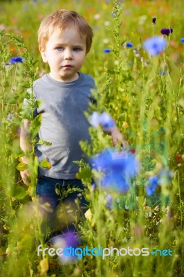 cute small boy