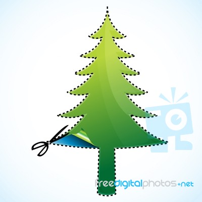 Cutting Of Christmas Tree Stock Image