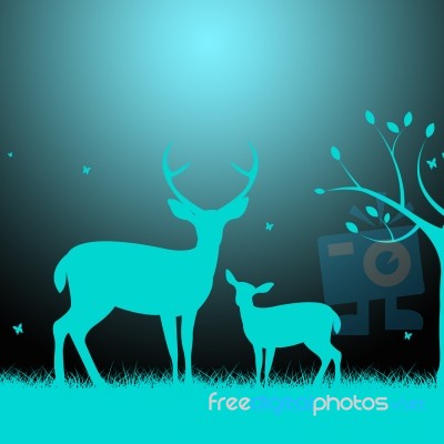 Deer Wildlife Indicates Night Time And Darkness Stock Image