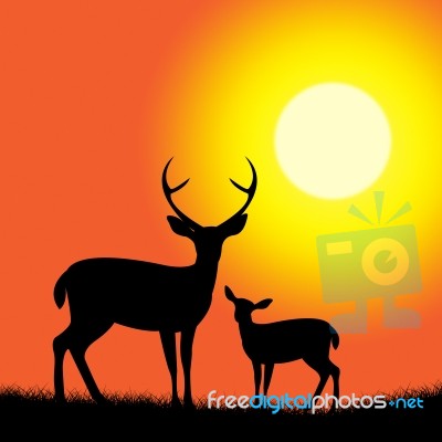 Deer Wildlife Represents Nature Reserve And Animal Stock Image