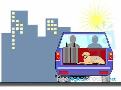 Dog In A Car Stock Image