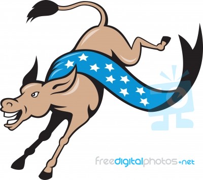 Donkey Jackass Jumping Democrat Stock Image
