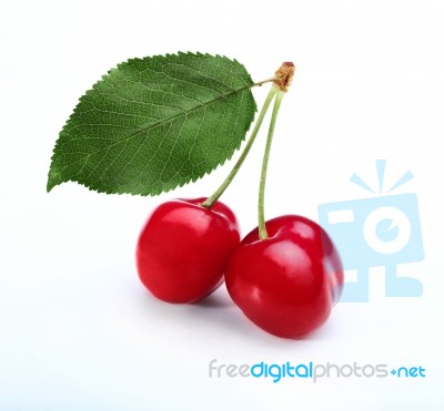 double cherry body shape