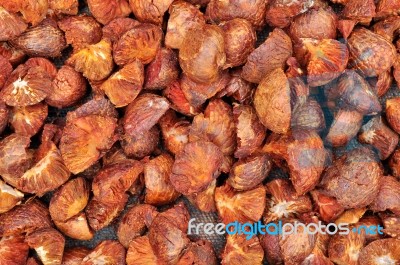 Dried Betel Nut Or Areca Nut Stock Photo