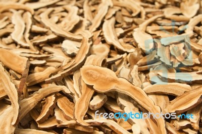 Dried Lingzhi  Mushroom ,traditional Chinese Medicine Stock Photo