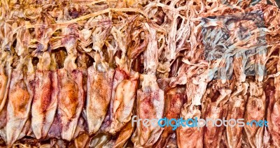 Dried Squid Stock Photo