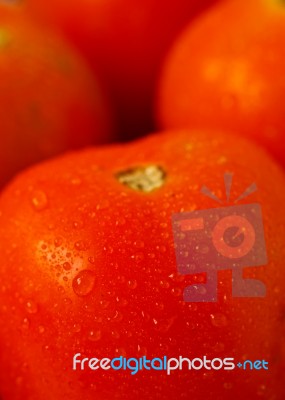Drops Of Water On Tomatoes Stock Photo
