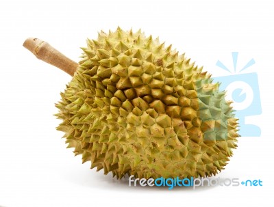 Durian Isolated Stock Photo