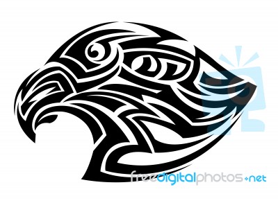 Eagle Head Stock Image