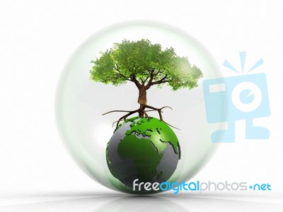 Earth And Tree In A Bubble Stock Image