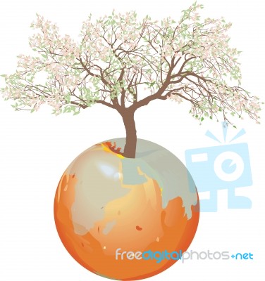 Earth - Apple Tree Stock Image