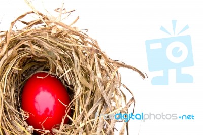 Easter Eggs In Dry Nest Stock Photo